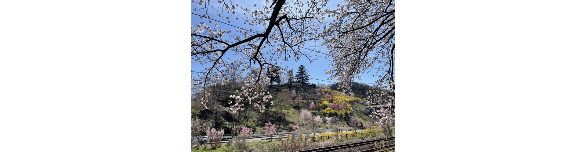 花花