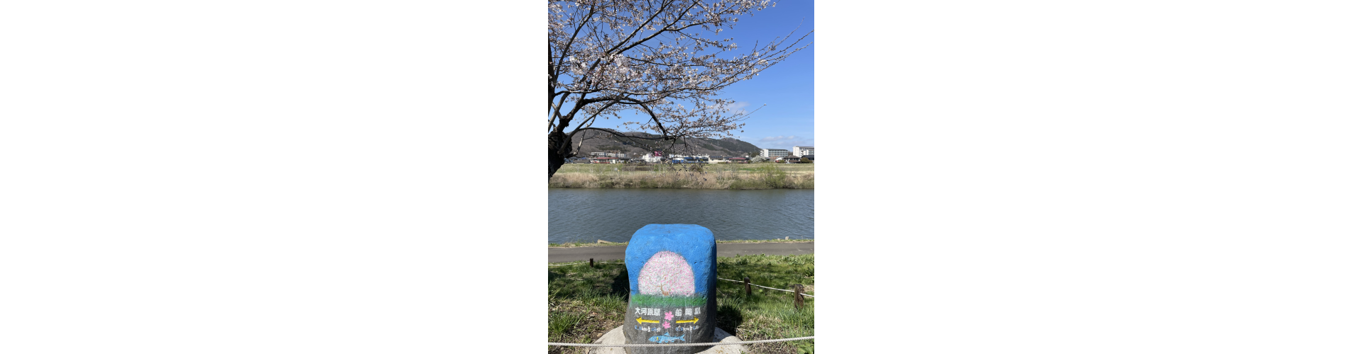 花花